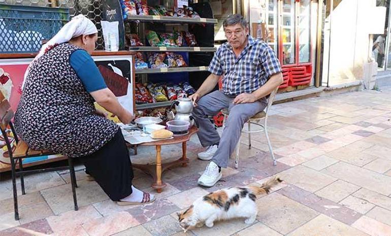 Denizlide sucuk yiyen kediye tekme attı, kendini böyle savundu