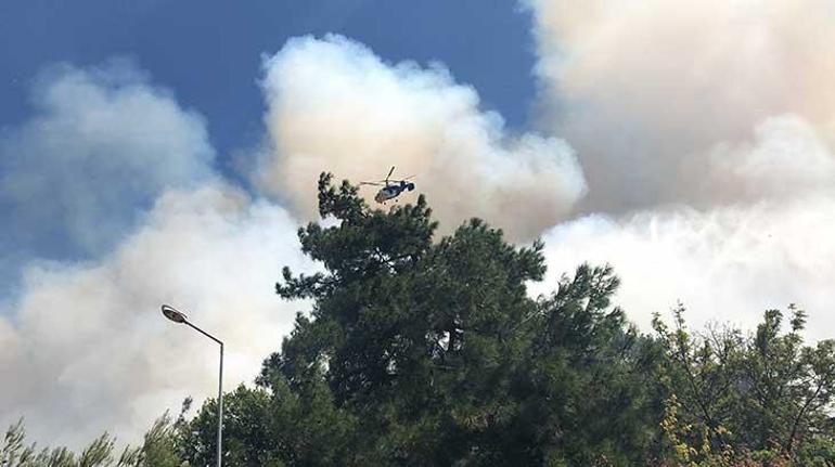 Bursada orman yangını Bakandan son dakika açıklaması