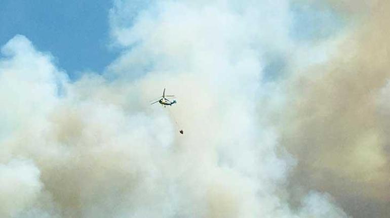 Bursada orman yangını Bakandan son dakika açıklaması