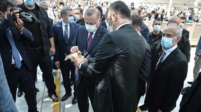 Son dakika | Müjdesi öncesi Cumhurbaşkanı Erdoğana sevgi seli