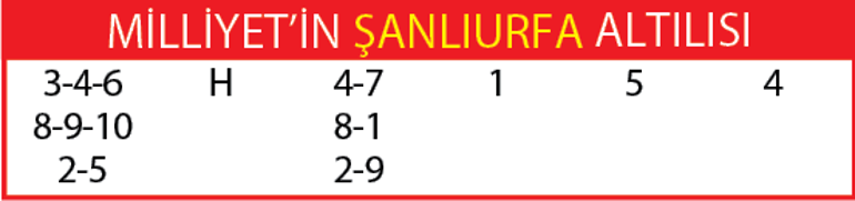 Yarış rehberi (23 Ağustos)