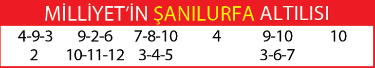 Yarış rehberi (24 Ağustos)