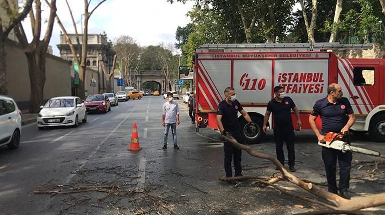 Çırağan Caddesinde asırlık ağacın kırılan dalı taksi durağının üzerine düştü