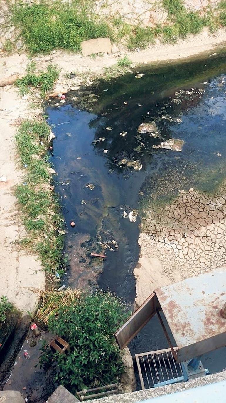 Lara halk plajında işgal büyüyor…