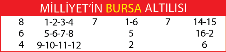 Aslansoylu formda