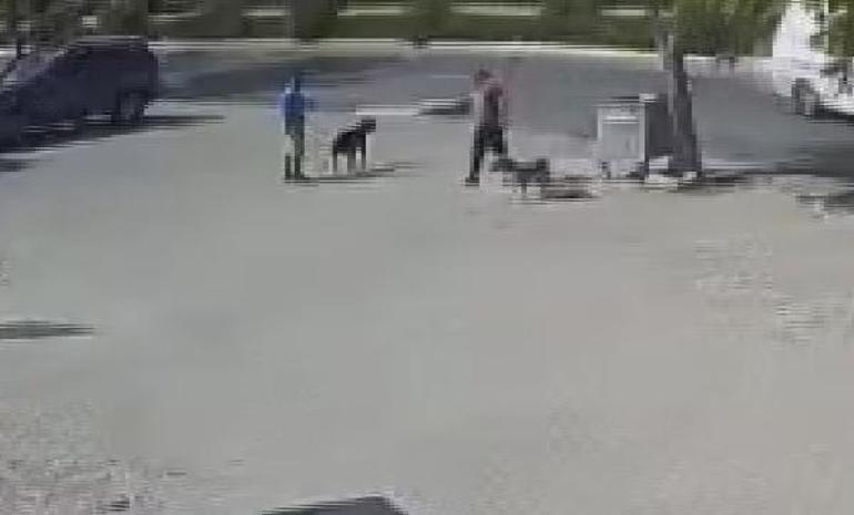 İstanbulda korkunç olay Silahla vurup öldürdü