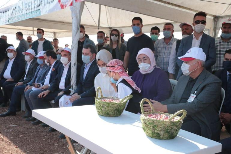 Koronavirüsü atlatan Binali Yıldırım ve eşi Şanlıurfada fıstık hasadına katıldı