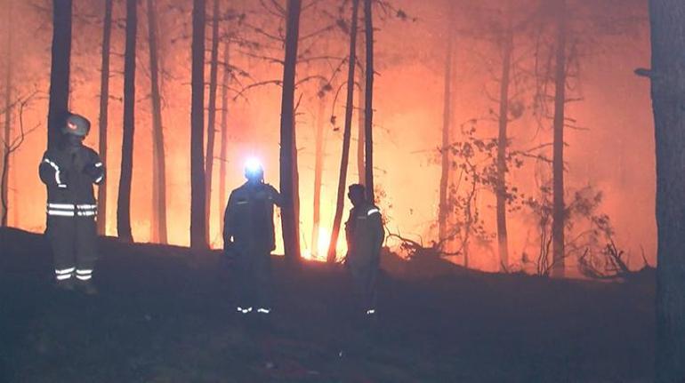 Pendik’te ormanlık alanda yangın Kısmen kontrol altına alındı