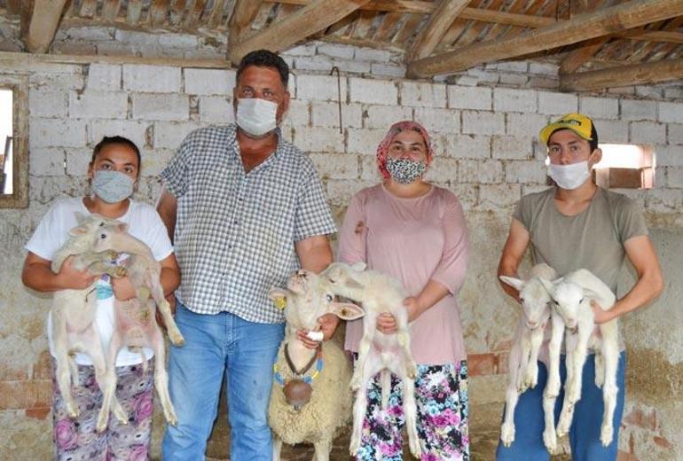 Manisalı çiftçi yeni doğan kuzularına maske, mesafe ve hijyen isimlerini verdi