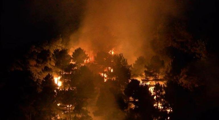 Son dakika: Aydos Ormanında korkutan yangın