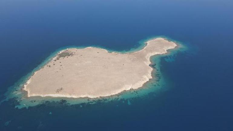 Ayvalıkta, Kız Adası da kesin korunacak hassas alan ilan edildi