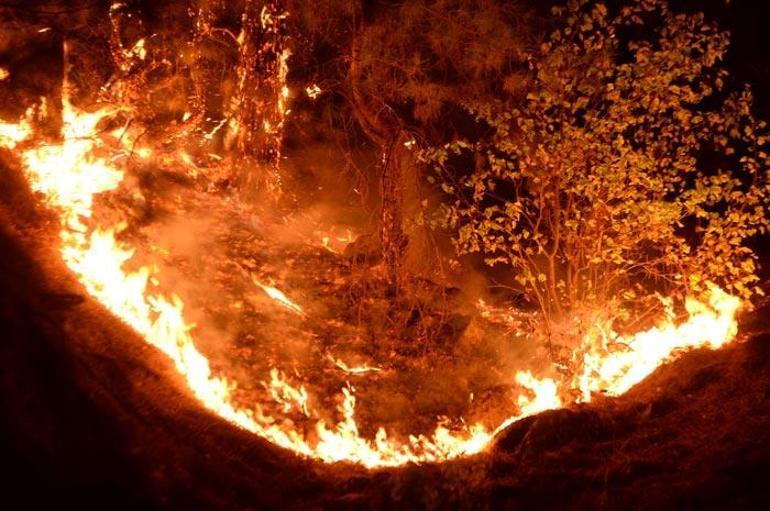 Kahramanmaraşta korkutan yangın Birçok ilden ekip geldi