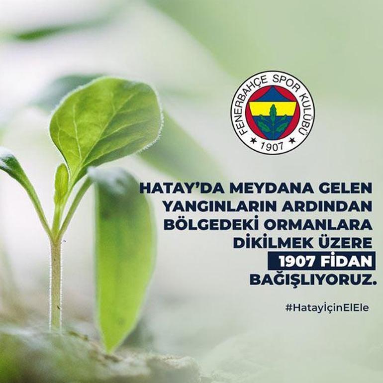 Futbol takımlarından fidan dikme kampanyası