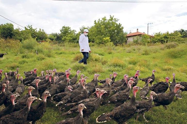 Sanayi kentinden tarım kentine