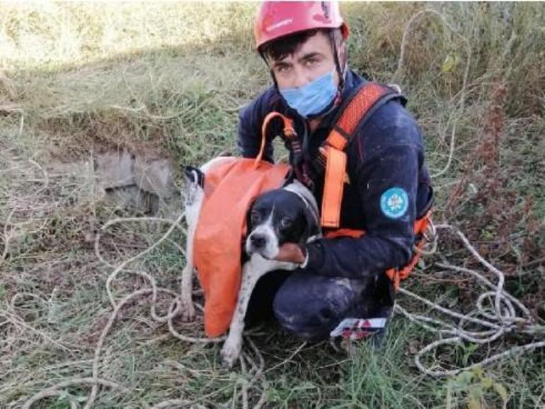 8 metrelik kuyuya düşen köpek kurtarıldı