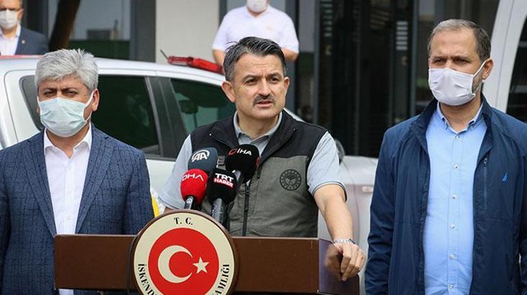 Son dakika... Hataydaki orman yangını kontrol altına alındı