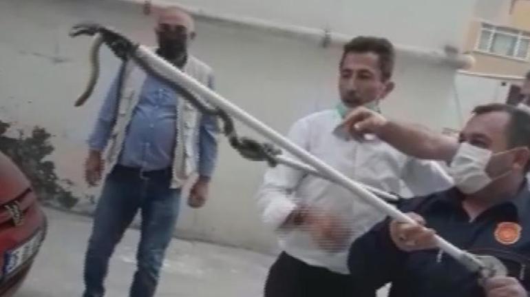 Otoparkta yılan paniği İtfaiye ekipleri yakaladı