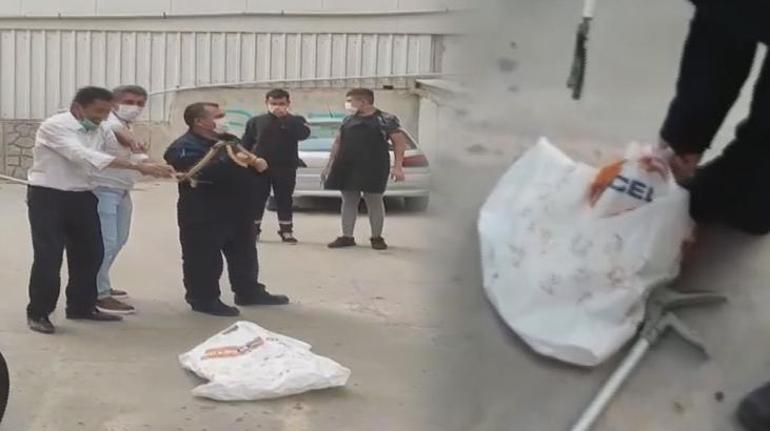 Otoparkta yılan paniği İtfaiye ekipleri yakaladı