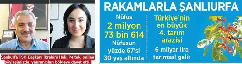 Teknolojik tarımla Türkiye’ye yeteriz