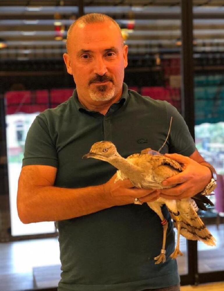 Çok nadir görülüyor... Trabzonda tedavi edildi, Yozgatta vuruldu
