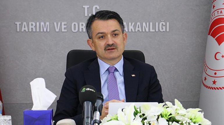 Son dakika... Bakan Pakdemirliden İstanbul ve Ankara açıklaması