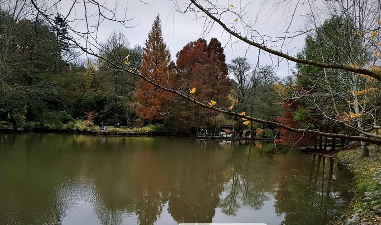 İstanbulda huzura kaçış