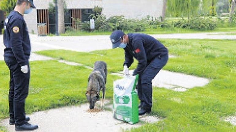 Vatandaştan Başkan’a çöp sitemi