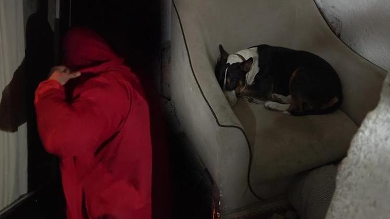 Kısıtlamada Pitbull korumalı kumarhaneye baskın