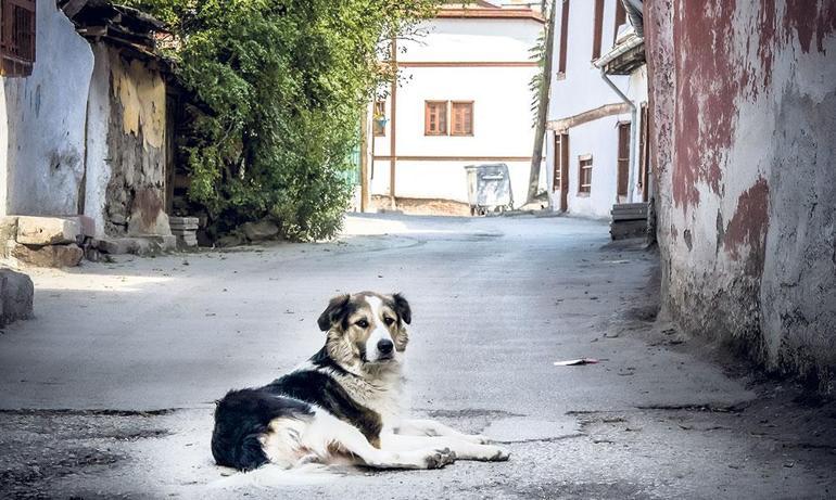 Şimdiki zamanın hikayesi