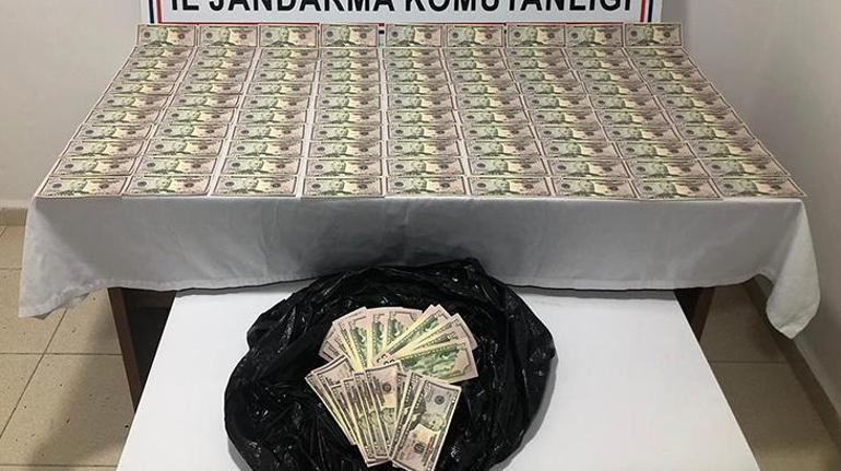 Son dakika Antalyada jandarmadan sahte dolar baskını