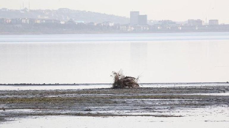 Kuraklığın en net görüntüsü İstanbulda yeni kıyı seti oluştu