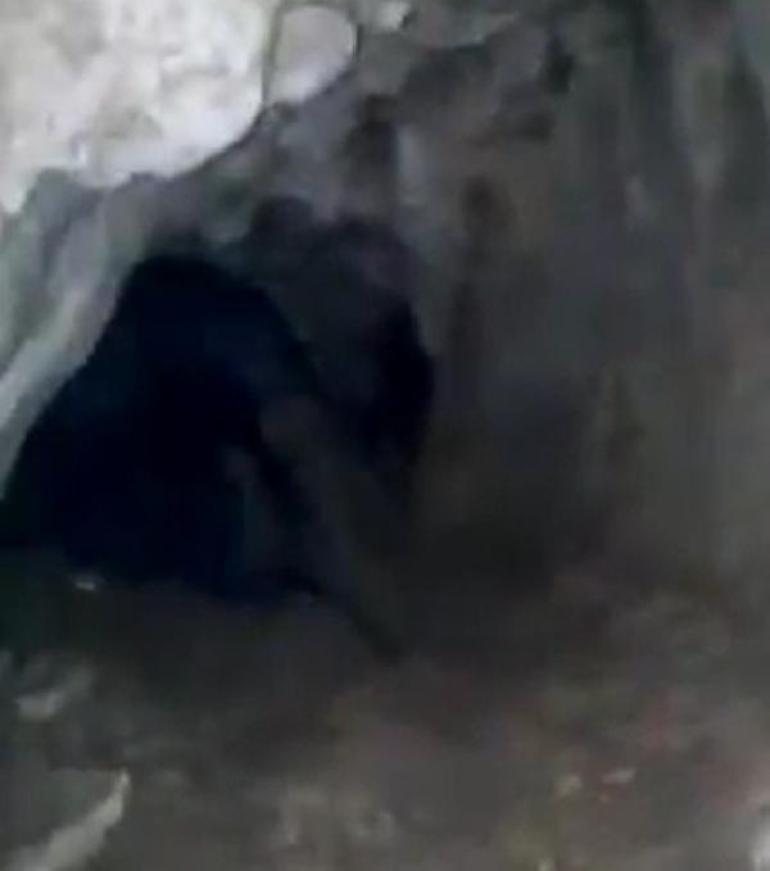 Mağaradaki esrarengiz varlık kamerada