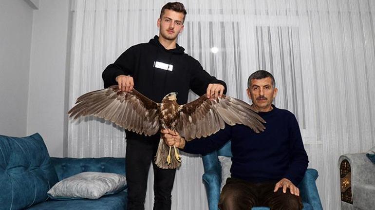 Uçmakta zorlanan doğana hayvan sever sahip çıktı