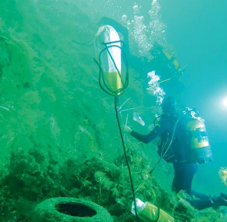 Akdeniz’in umudu Marmara