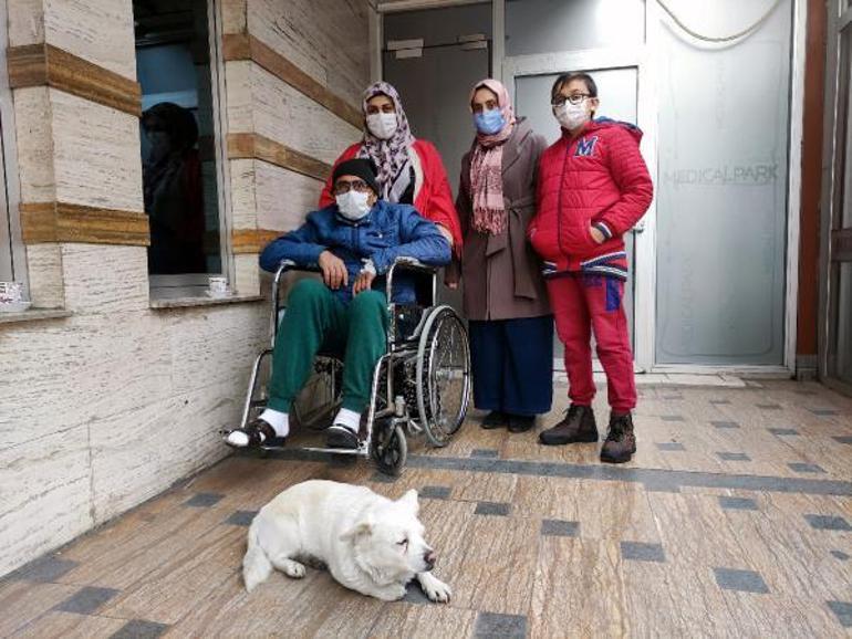 Son dakika Sahibi tedavi gören köpek, 5 gündür hastane kapısında bekliyor