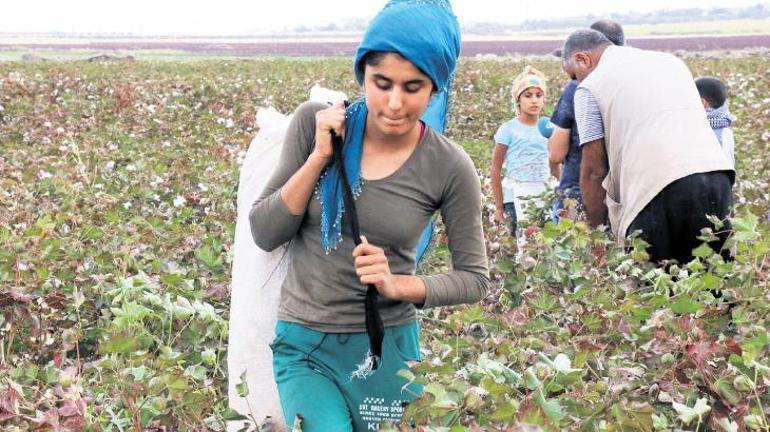 Çocukların işçiliği kararlılıkla bitecek