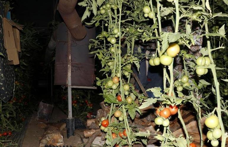 Hava sıcaklığı -1e düştü Nöbet başladı