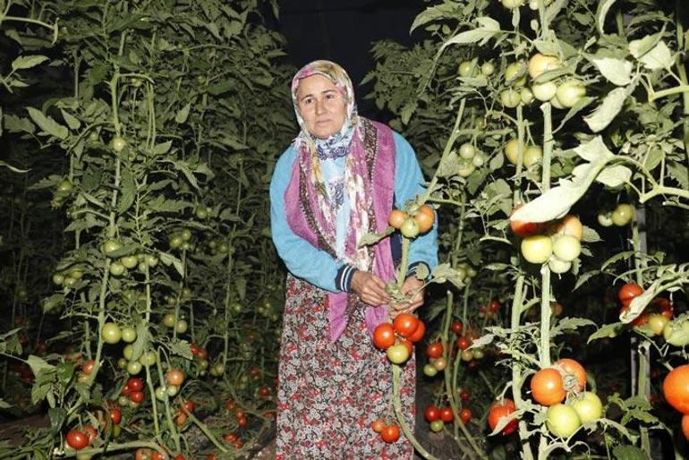 Hava sıcaklığı -1e düştü Nöbet başladı