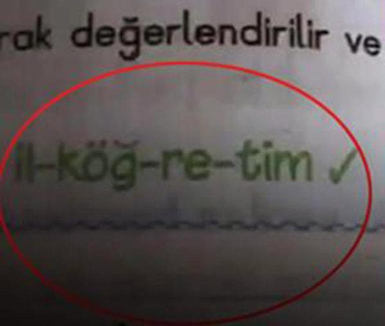 Demet Akalın tepki göstermişti TDKya göre hangisi doğru