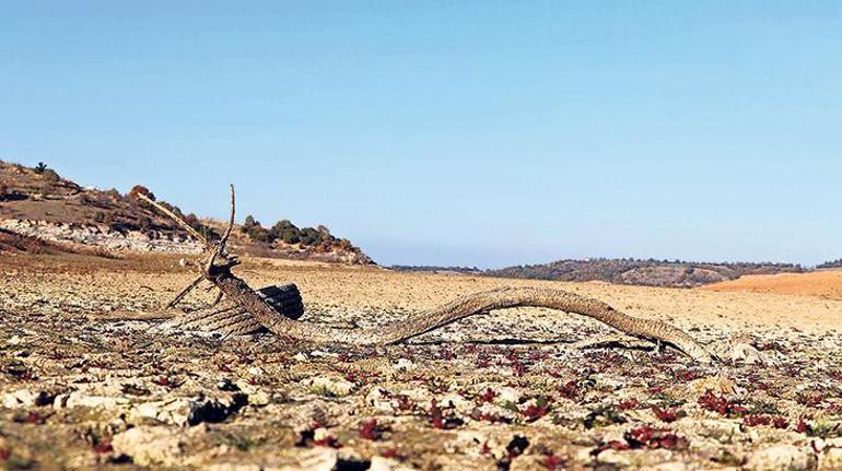 Susuzluğa karşı tarihi uyarı