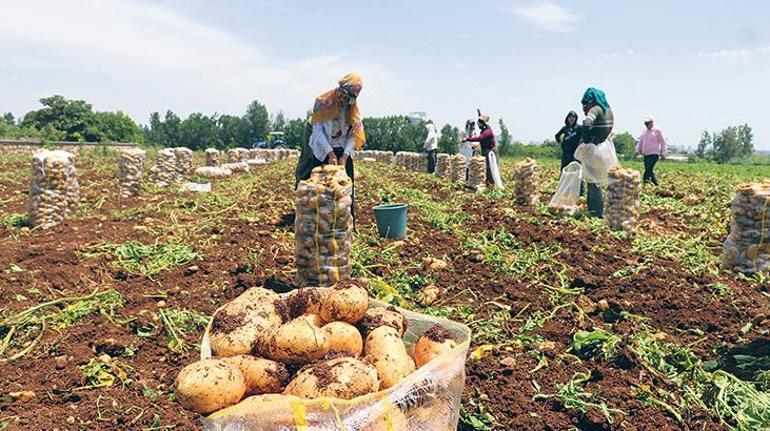 Susuzluğa karşı tarihi uyarı