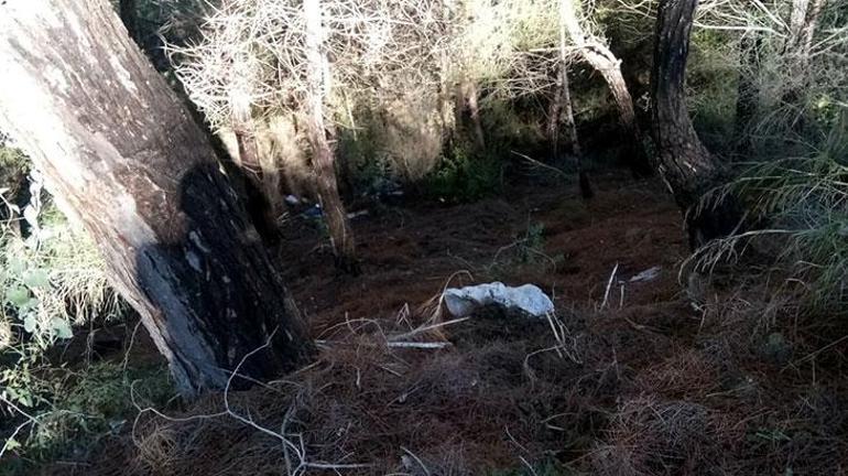 Yasak aşk ortaya çıktı Kızıyla birlikte damadını öldürdü