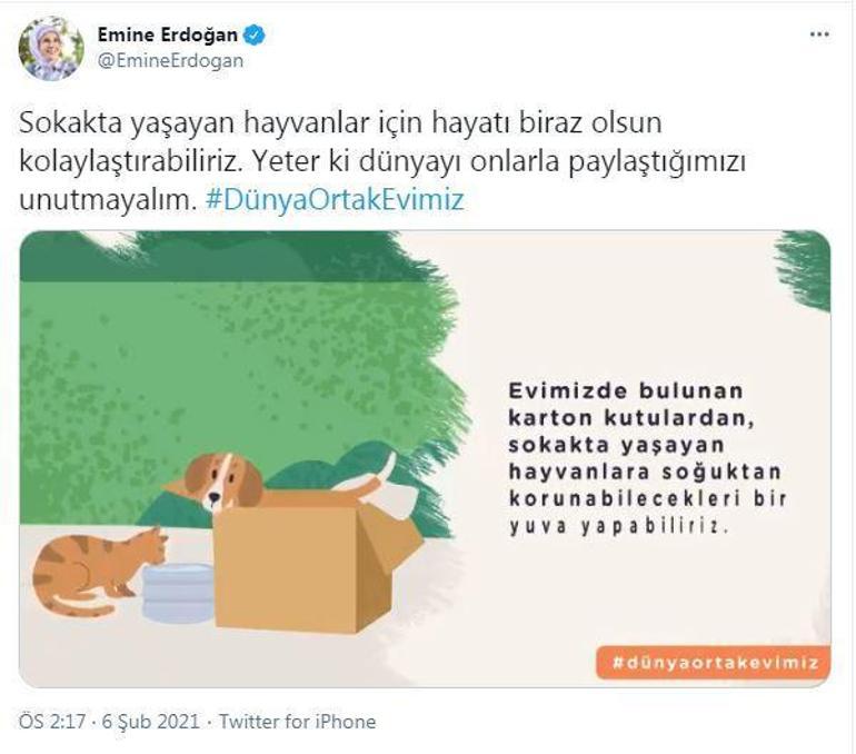 Emine Erdoğan: Sokakta yaşayan hayvanlar için hayatı kolaylaştırabiliriz