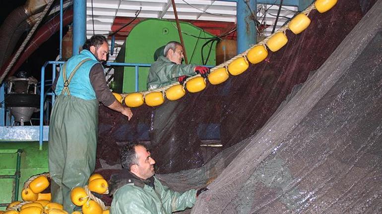 Karadenizde hamsi avı yeniden başladı