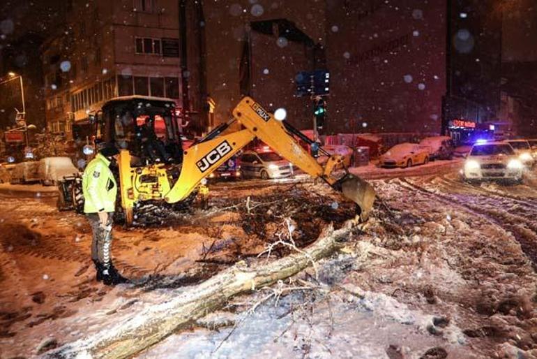 İstanbulda kar yağışı nedeniyle bazı bölgelerde ağaçlar devrildi