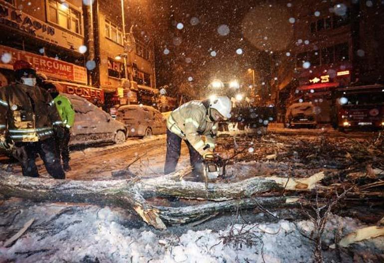 İstanbulda kar yağışı nedeniyle bazı bölgelerde ağaçlar devrildi