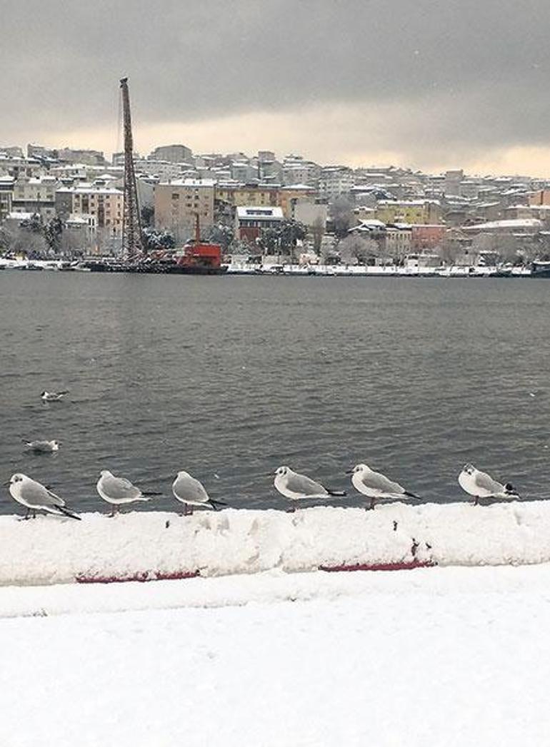 Şimdiki zamanın hikayesi