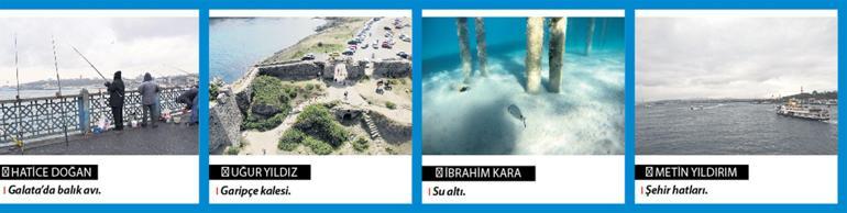 Şimdiki zamanın hikayesi
