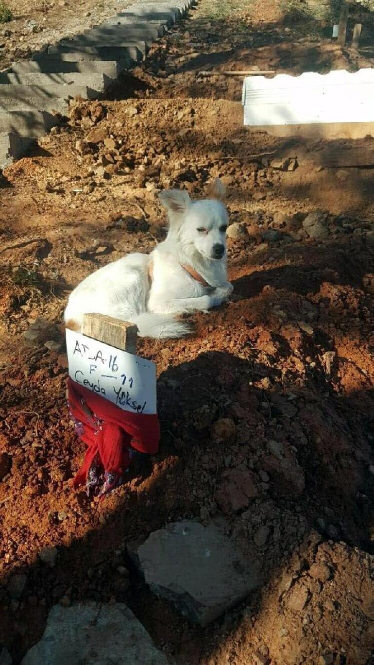 Son dakika: Kolu kopacak kadar kesilmiş Sesini duyurmak için camları kırdı