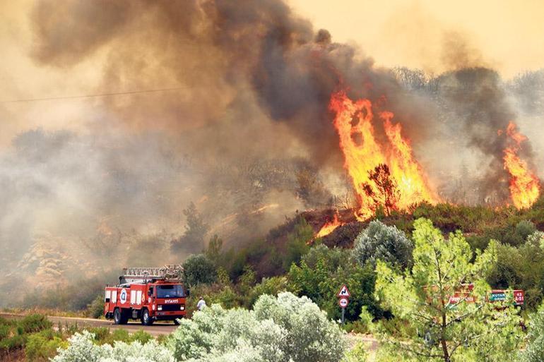 21-26 Mart Dünya Orman Haftası ve sesini duyuramayan ormanlarımız